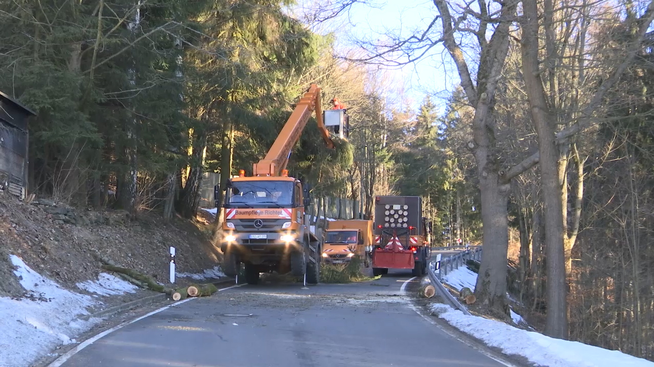 MEgional am 18. Februar 2019 mit Baumfällarbeiten in Rittersberg