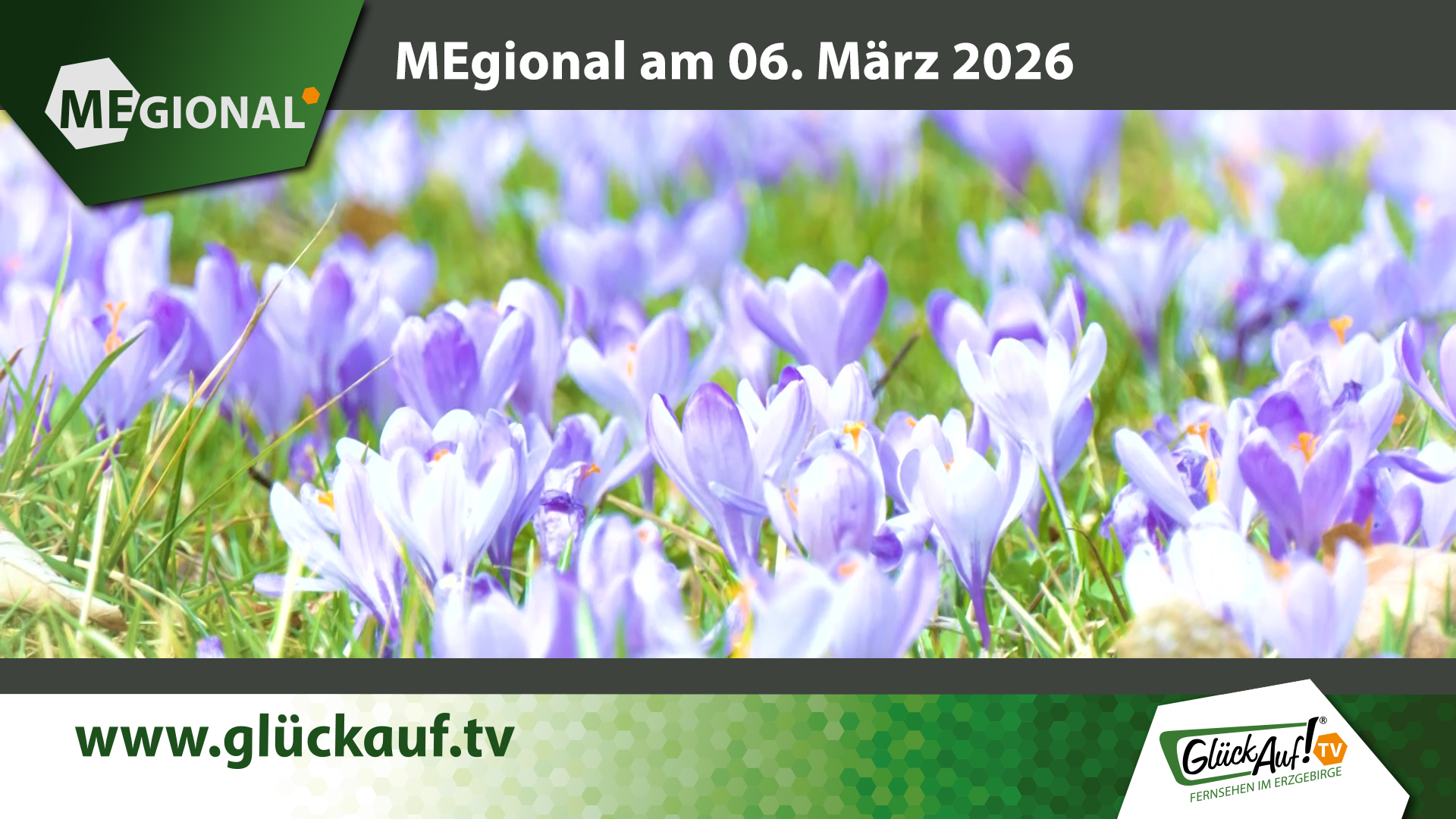 MEgional am 06. März mit dem Thema: Mitglieder der IHK mahnen Reformen an